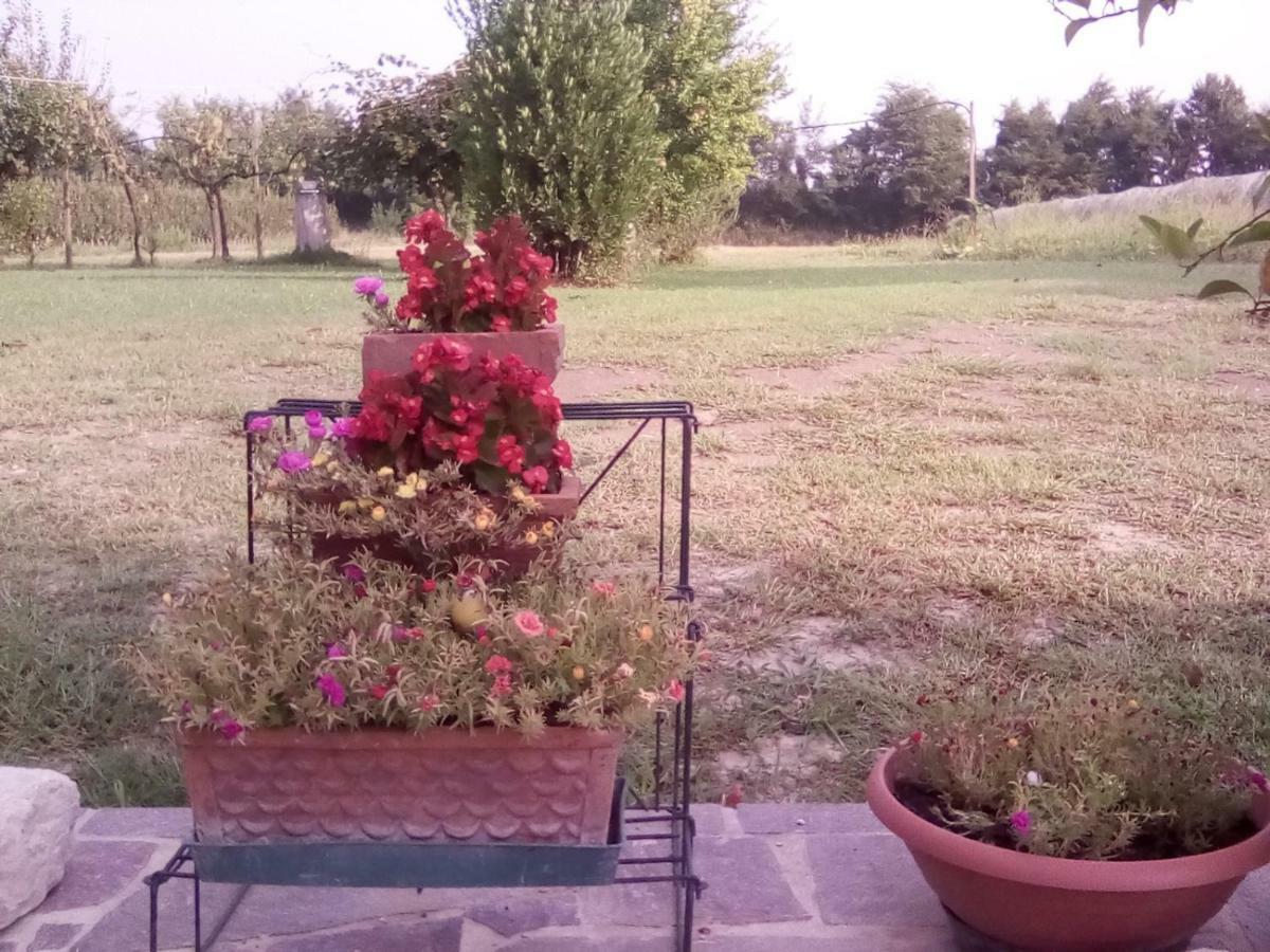 Borgo Tarapino Hotel Ферара Екстериор снимка
